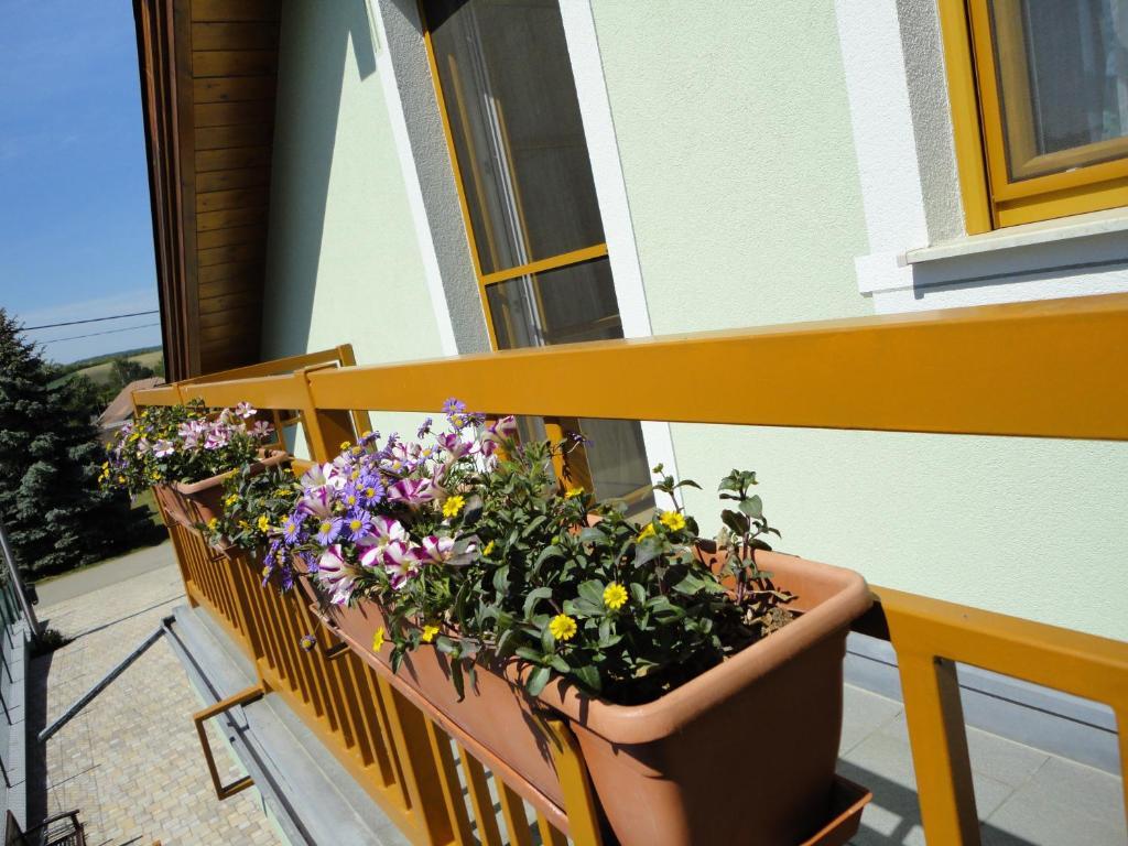 Gaestezimmer Rieder Staatz Phòng bức ảnh